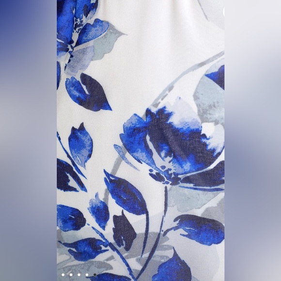 Carlotta Blue and White Floral Print Sleeveless
Maxi Dress - Picture 14 of 14